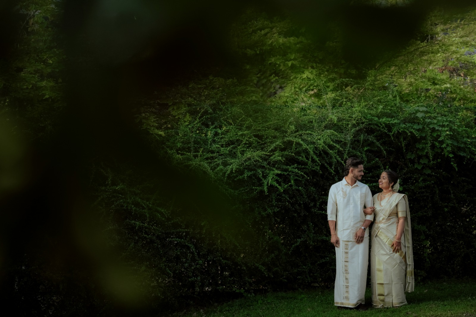 a forest after an apocalypse